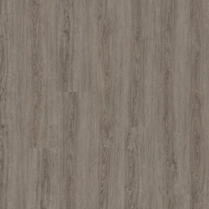 Panele winylowe DLC00067 Wineo Vinil Wood 800 XL
