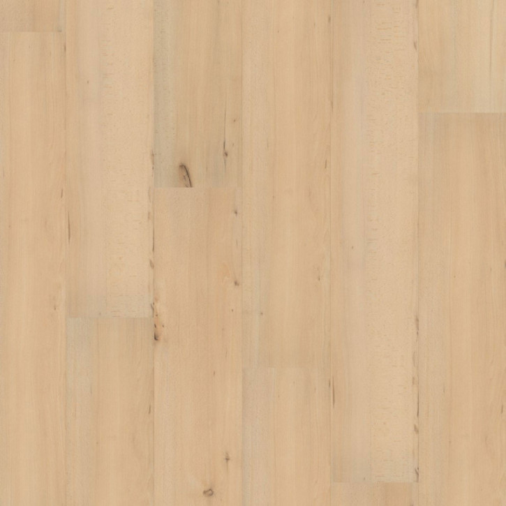 Panele laminowane LA056LV2 Wineo Large 500 V2