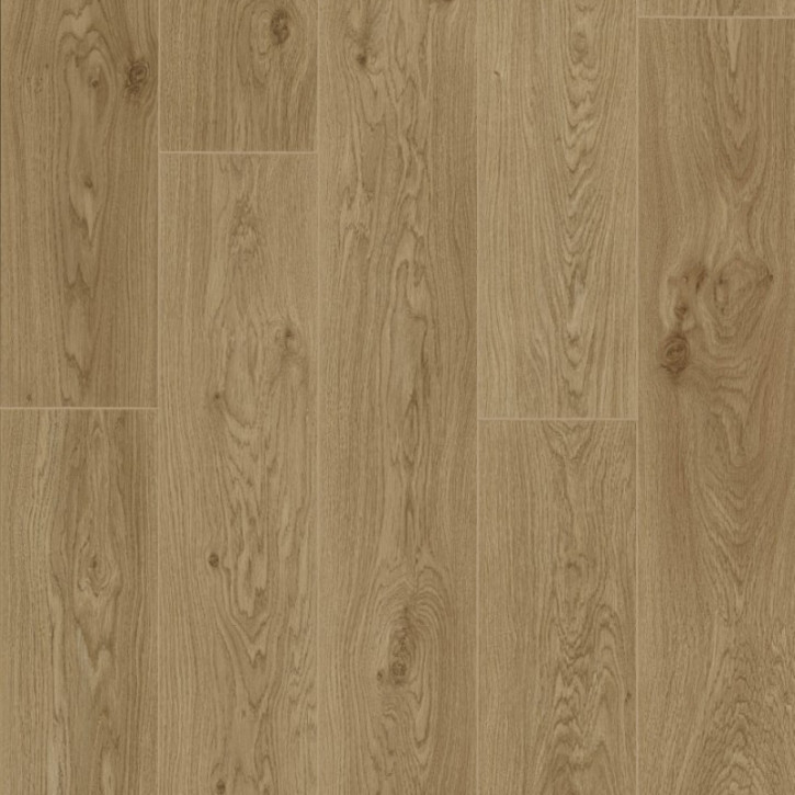 Panele laminowane 6003 Berry Alloc Trend Line Pro