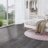 Panele laminowane 5541 Kronospan Floordreams Vario