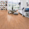 Panele laminowane 8723 Kronospan Castello Classic
