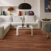 Panele laminowane CL1039 Quick-Step Classic