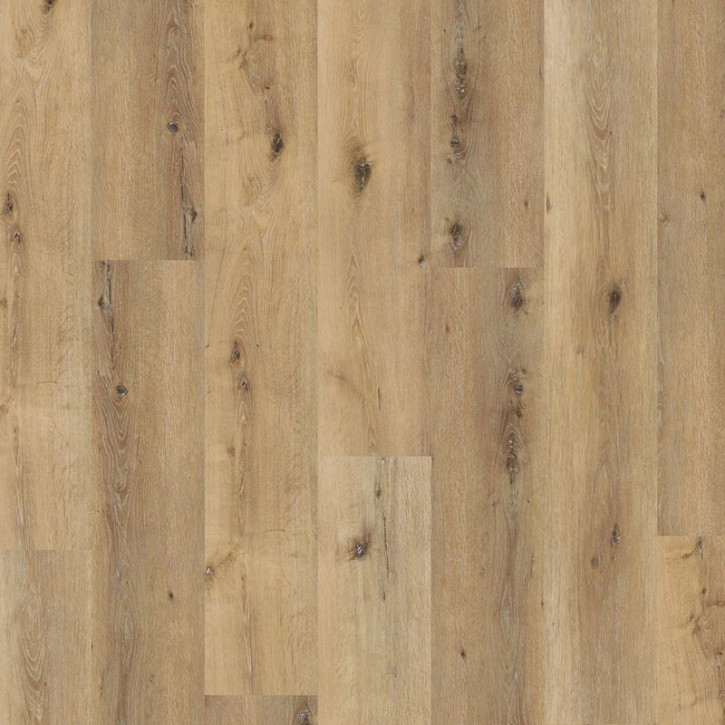 Panele winylowe DB00064 Wineo Vinil Wood 800 XL