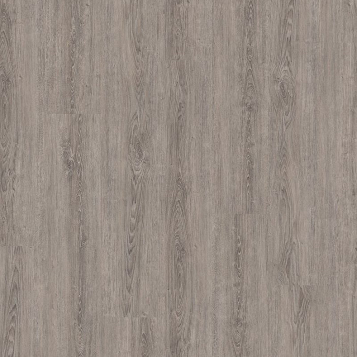 Panele winylowe DB00065 Wineo Vinil Wood 800 XL