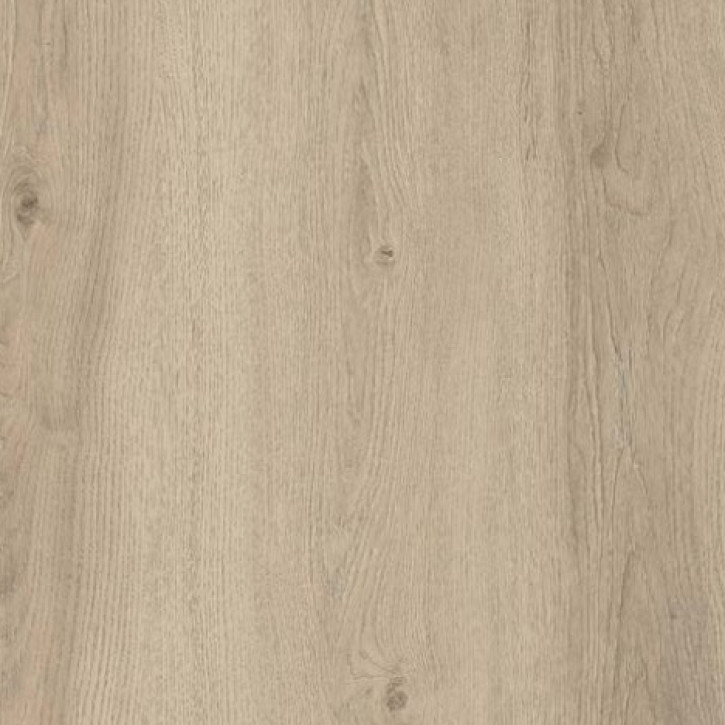 Panele laminowane ORN32RV-FP951 Kastamonu