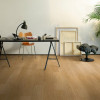 Panele laminowane CLM3184 Quick-Step Classic