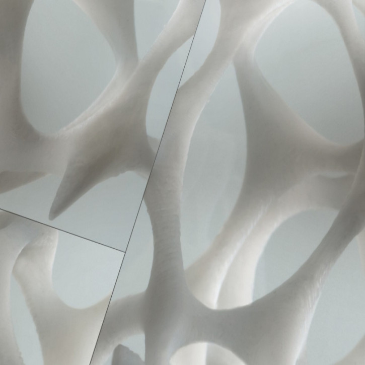 Panele laminowane 1371379 Parador Edition 1