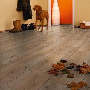 Panele laminowane D3903 Schoner Advanced Plus