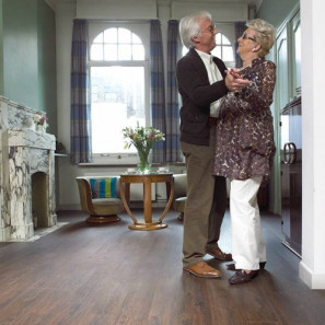 Panele laminowane DCV282 DomCabinet 