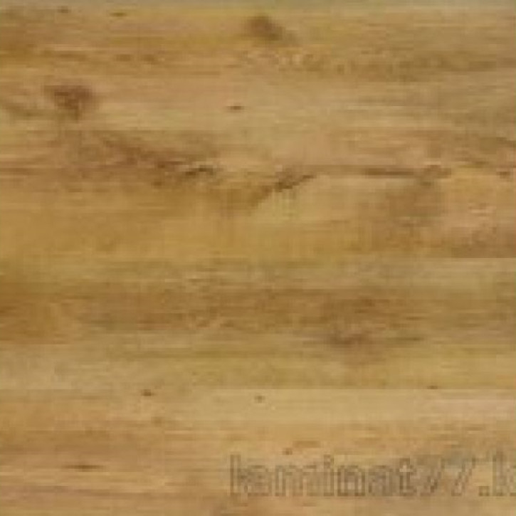 Panele laminowane Classen