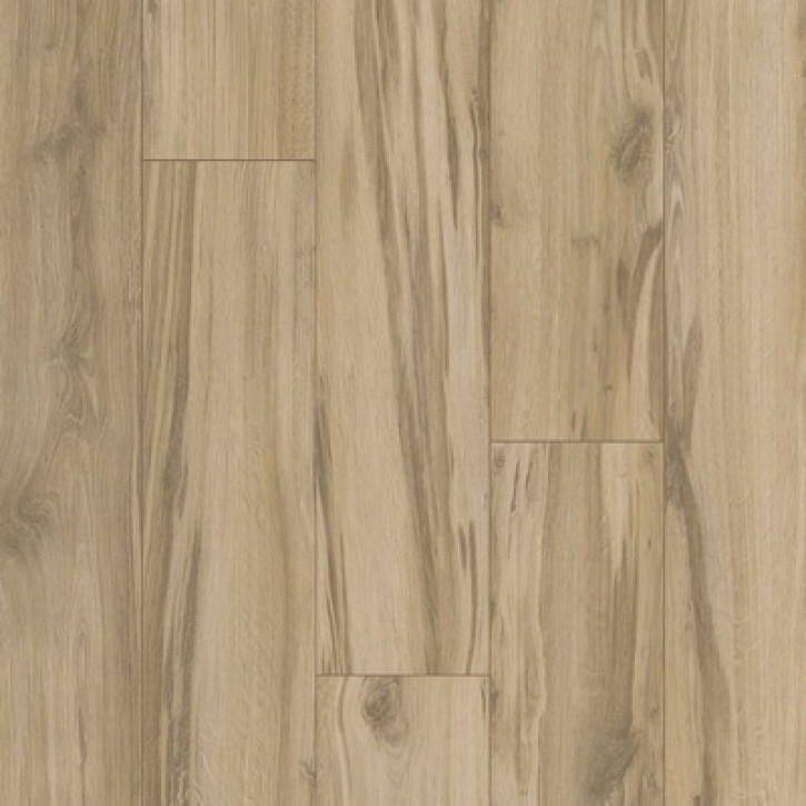 Panele laminowane 37663 Kaindl Classic Touch 8.0