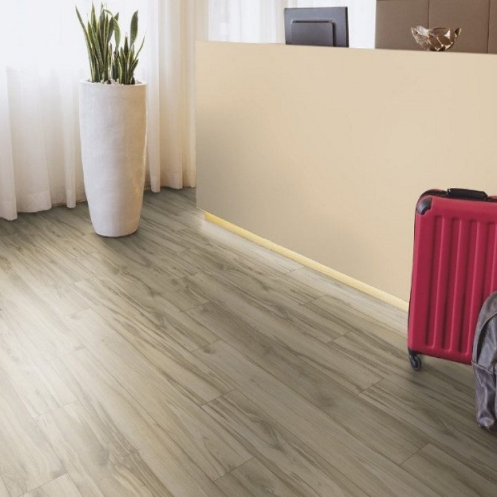 Panele laminowane 37663 Kaindl Classic Touch 8.0