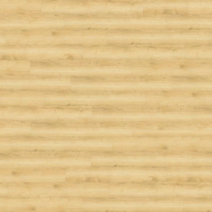 Panele winylowe DB00080 Wineo Vinil 800 Wood