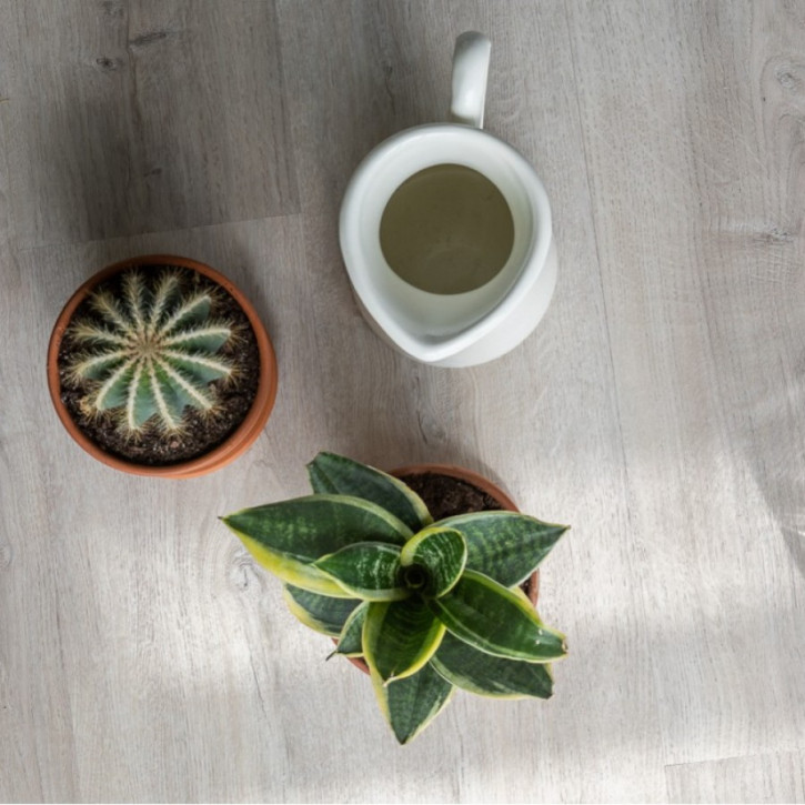 Panele winylowe 20468 Vinilam Click