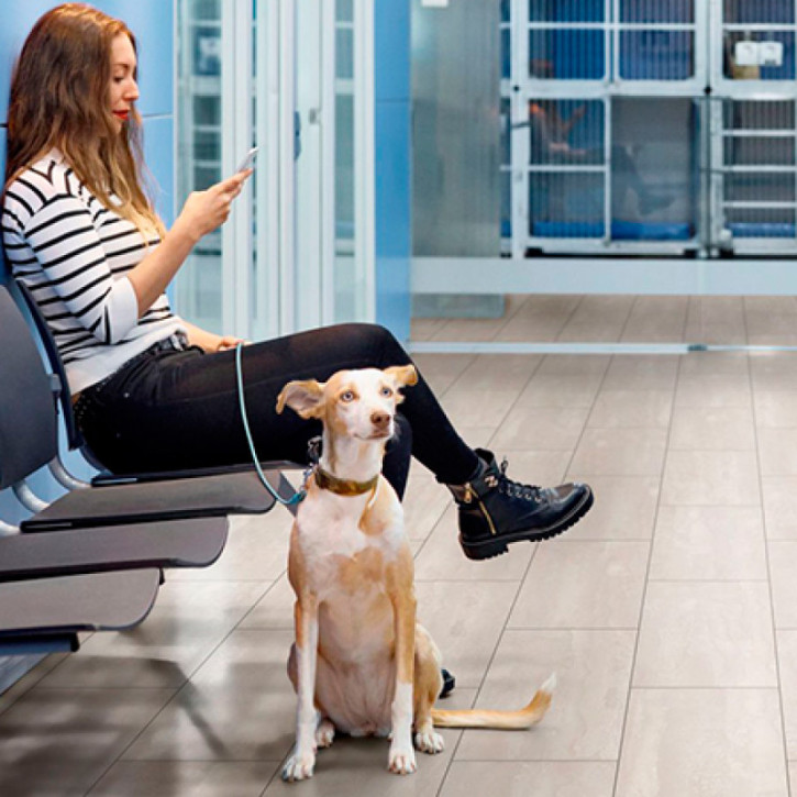 Panele laminowane 1525 BinylPro Fine Stone