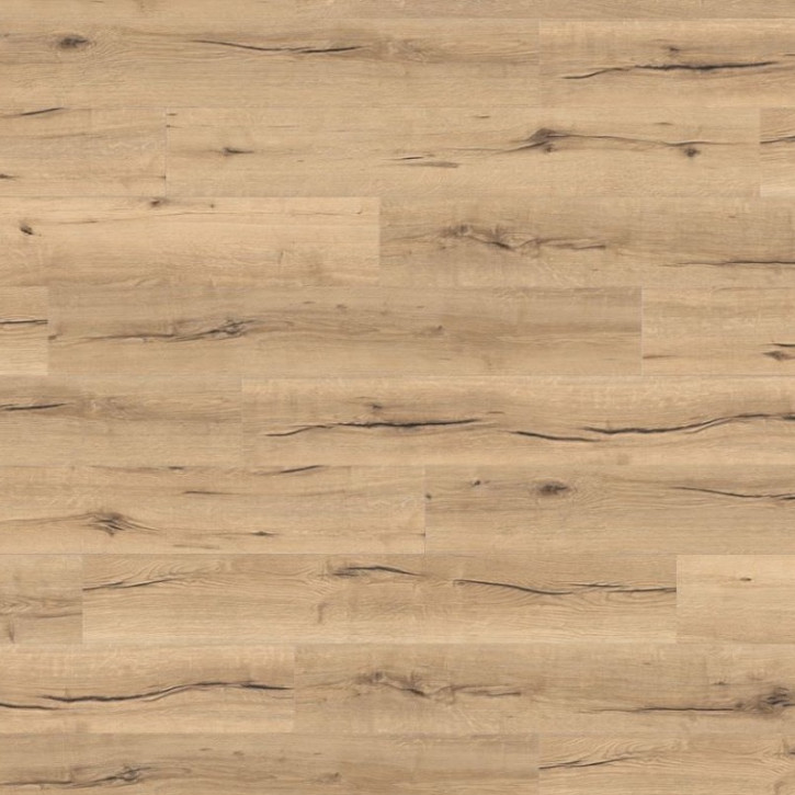 Panele laminowane 538920 Haro Tritty 100