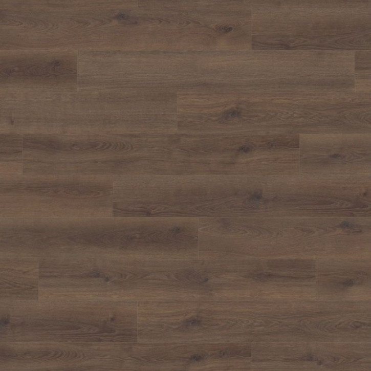 Panele laminowane 538697 Haro Tritty 100