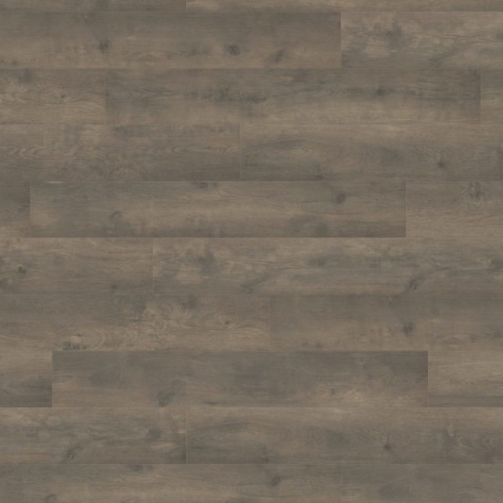 Panele laminowane 538694 Haro Tritty 100