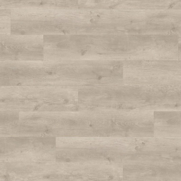 Panele laminowane 538748 Haro Tritty 100 Campus 4V