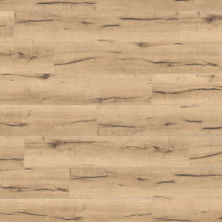 Panele laminowane 532060 Haro Tritty 100 Campus 4V