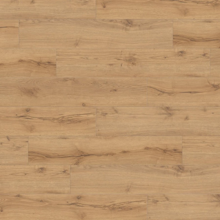 Panele laminowane 532063 Haro Tritty 100 Campus 4V