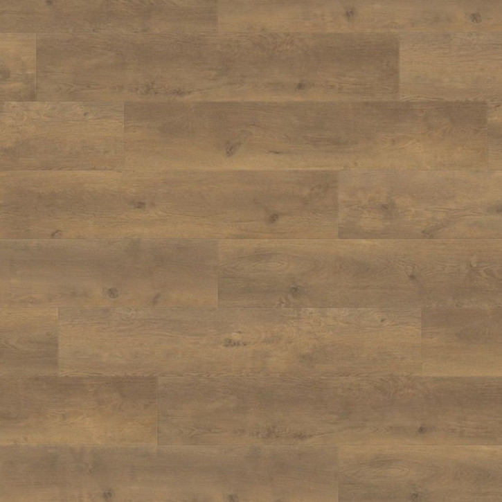 Panele laminowane 538747 Haro Tritty 100 Campus 4V