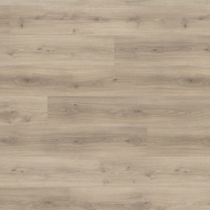 Panele laminowane 538770 Haro Tritty 100 Gran Via 4V