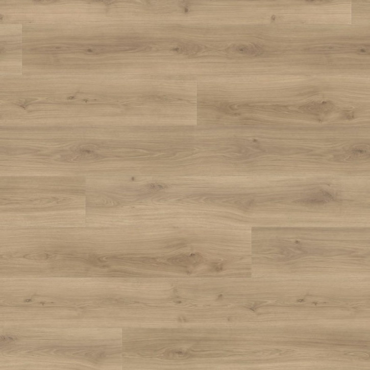 Panele laminowane 538769 Haro Tritty 100 Gran Via 4V