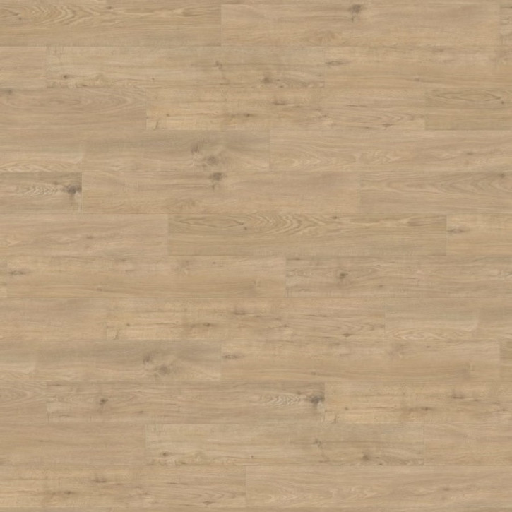 Panele laminowane 537370 Haro Tritty 200 Aqua