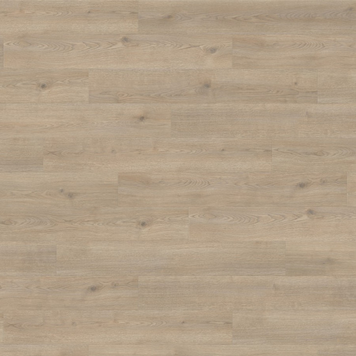 Panele laminowane 540239 Haro Tritty 200 Aqua