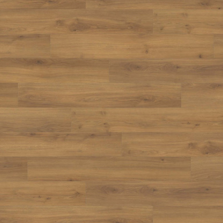 Panele laminowane 540242 Haro Tritty 200 Aqua