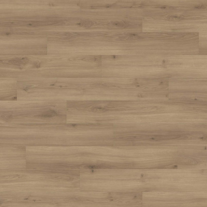 Panele laminowane 540243 Haro Tritty 200 Aqua