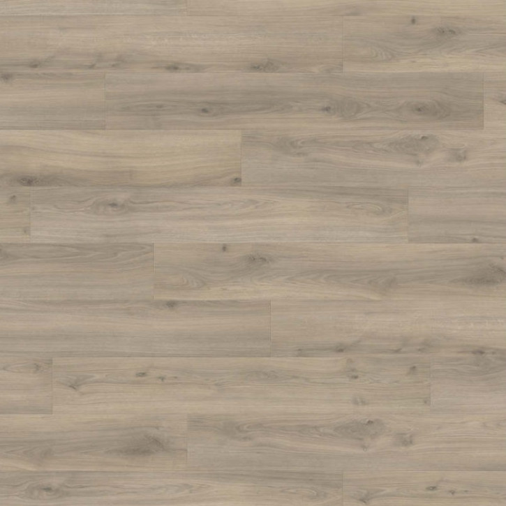 Panele laminowane 540244 Haro Tritty 200 Aqua