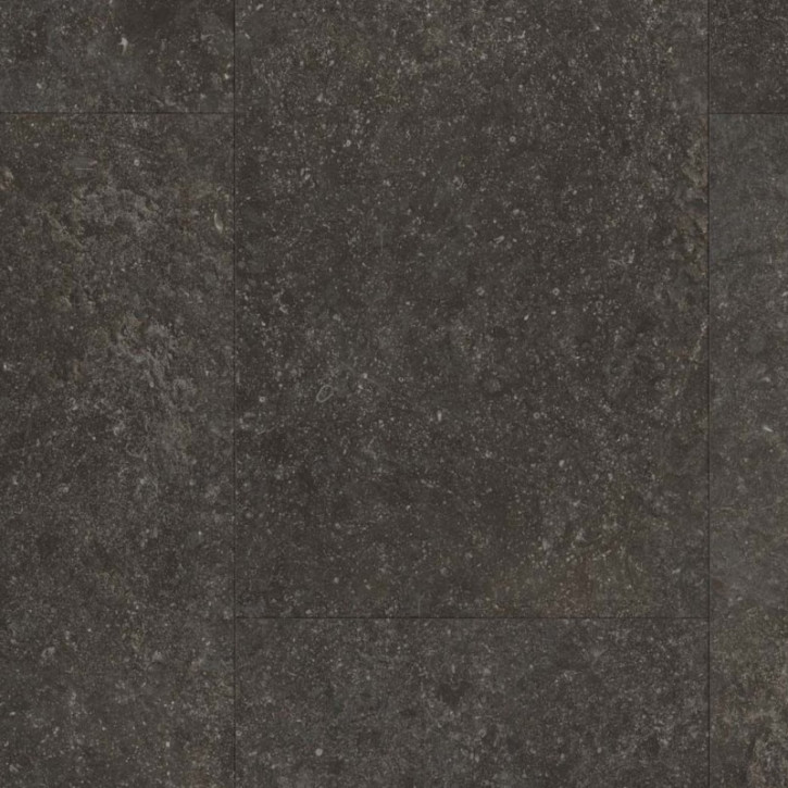 Panele laminowane 1743594 Parador Trendtime5