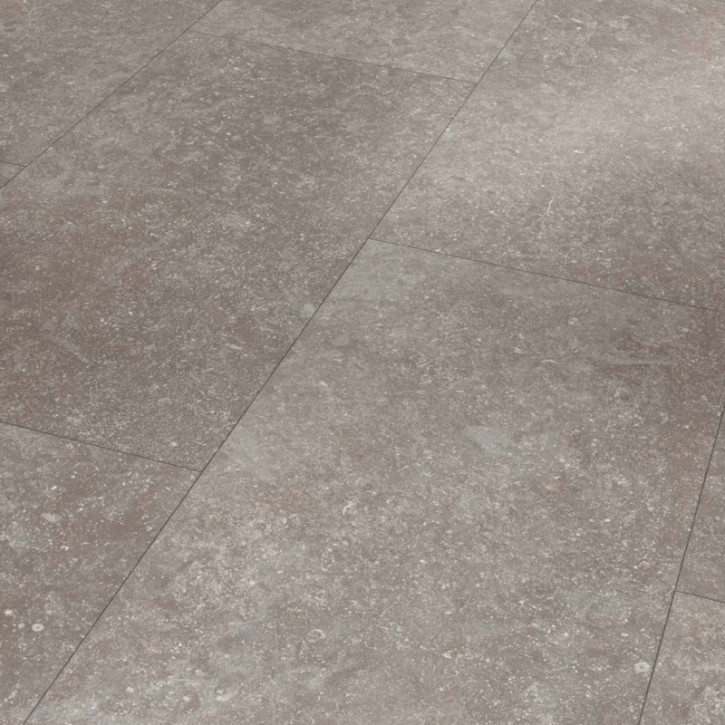 Panele laminowane 1743591 Parador Trendtime5