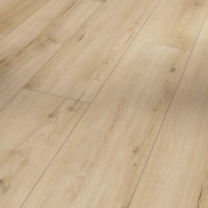 Panele laminowane 1744709 Parador Trendtime 6