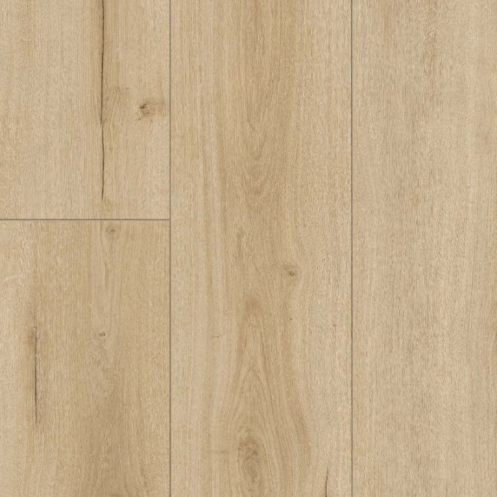 Panele laminowane 1744709 Parador Trendtime 6