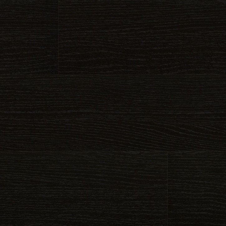 Biopodłogi PL194C Wineo Purline 1500 PL Wood Xs