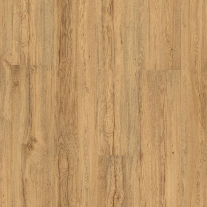 Biopodłogi MLP007R Wineo Purline 1000 MLP Wood XXL