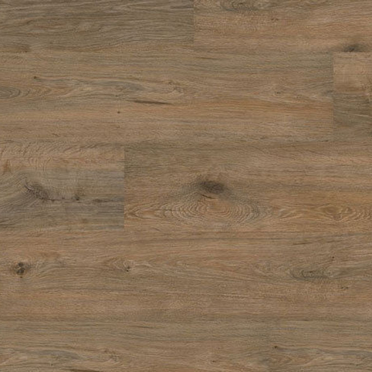 Biopodłogi MLP041R Wineo Purline 1000 MLP Wood XXL