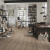Panele winylowe DB00062 Wineo Vinil Wood 800 XL