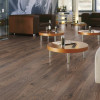 Panele laminowane 3590 Kronotex Robusto
