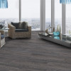 Panele laminowane 5541 Krono Original Floordreams Vario