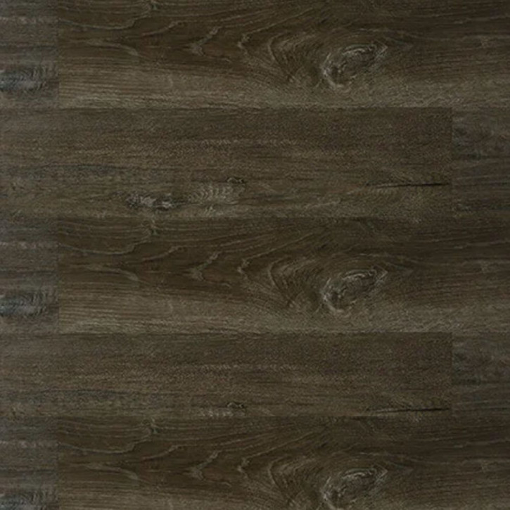 Panele winylowe 10241999 Oneflor Solide Click 55 Planks