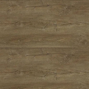 Panele winylowe 10173999 Oneflor Ecoclick 30 Planks
