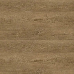 Panele winylowe 10192999 Oneflor Ecoclick 55 Planks