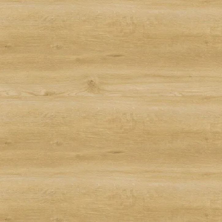 Panele winylowe 10200999 Oneflor Ecolay 70 Planks
