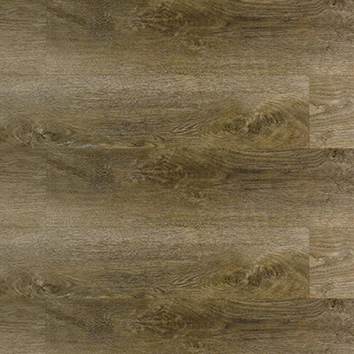 Panele winylowe 10219999 Oneflor Solide Click 30 Planks