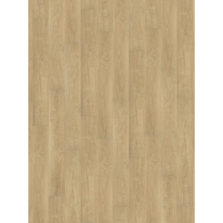 Panele winylowe DB00006 Wineo Vinil 600 Wood