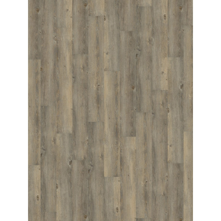 Panele winylowe DB00008 Wineo Vinil 600 Wood